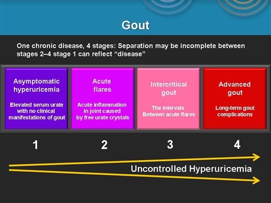 What are some common symptoms of gout?