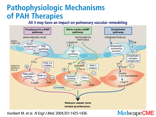 Sildenafil For Pulmonary Hypertension Side Effects
