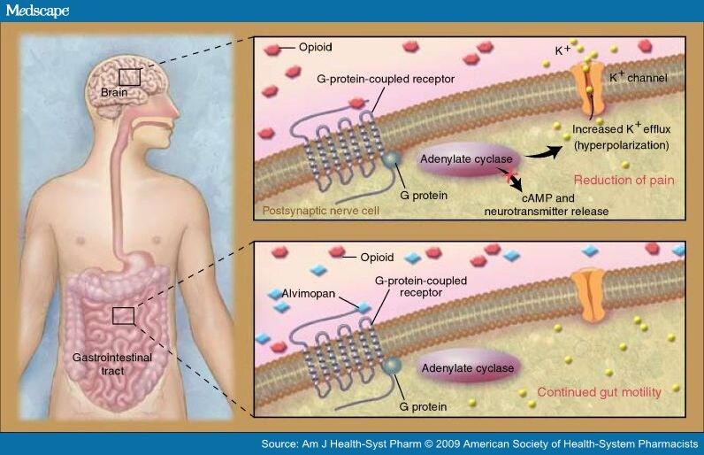 Alvimopan For Postoperative Ileus