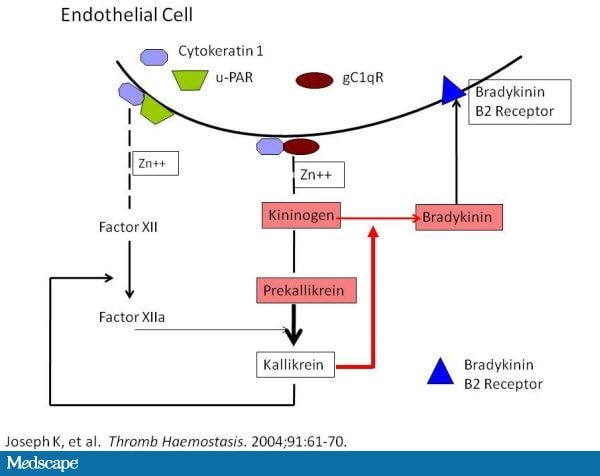 Ace Inhibitor And Viagra