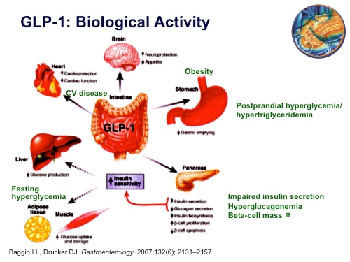 Type 2 Diabetes Mellitus (T2DM): Treatment With GLP-1 ...