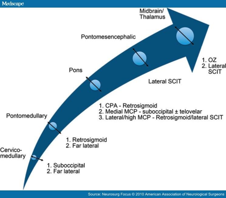 Figure 1 From Surgical Approaches To Intramedullary Cavernous