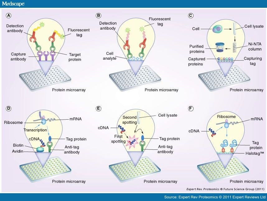 Protein Microarrays And Novel Detection Platforms