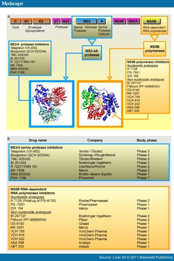 Directacting Antivirals' Combination for Treatment of HCV
