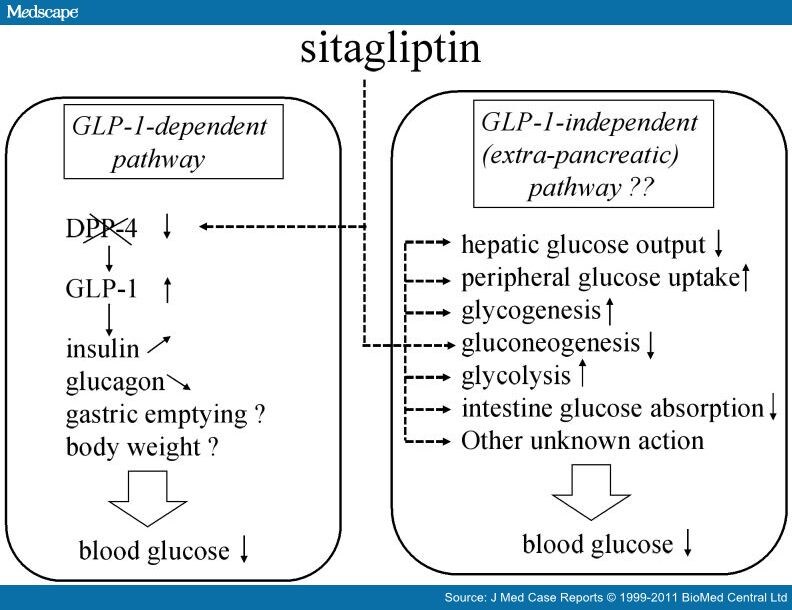 Sitagliptin and Insulin in Absolute Insulin Deficiency