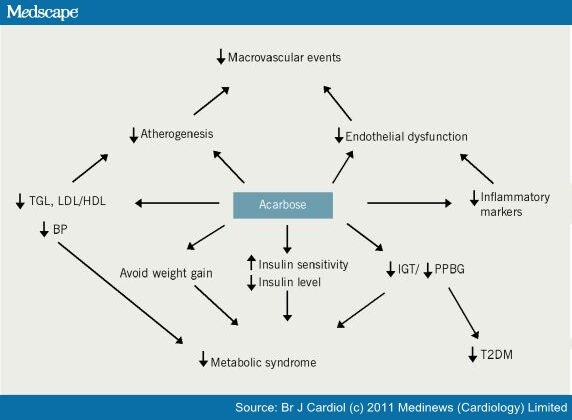 Acarbose Precose Contraindications
