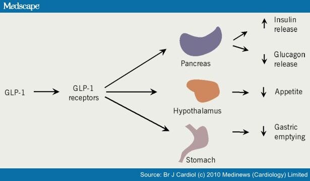 Drugs for Diabetes: Part 6 GLP-1 Receptor Agonists