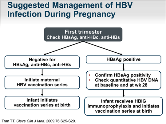 Hepatitis B Screening And Follow Up Care In A Pregnant Woman Transcript