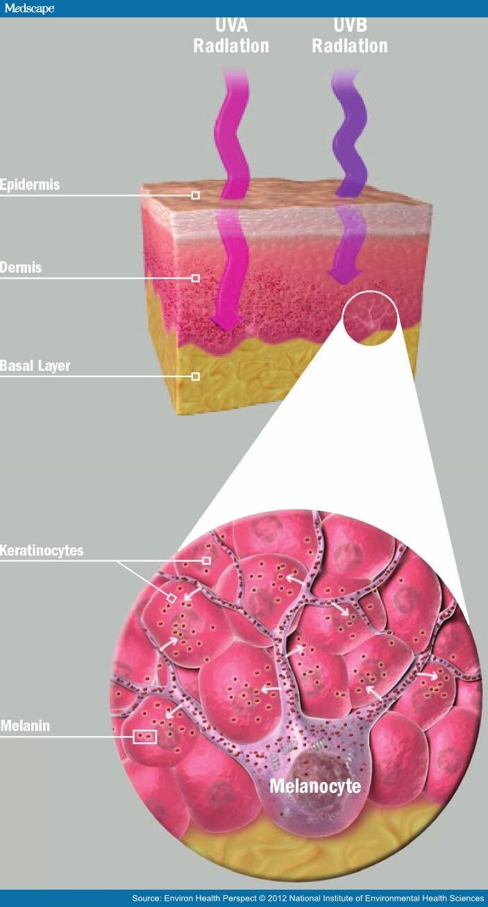 UV Radiation and Skin Cancer Tanning Bed Age Restrictions
