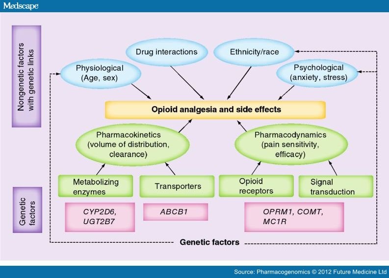 Pharmacogenomics Of Opioids And Perioperative Pain Management