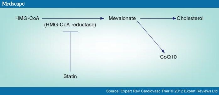Are there any side effects when taking Rosuvastatin with CoQ10?