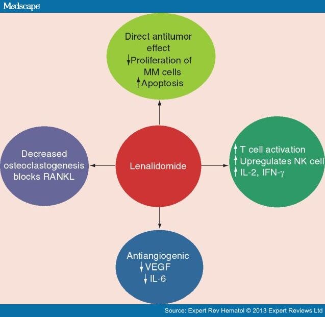 Immunomodulatory Drugs in Multiple Myeloma