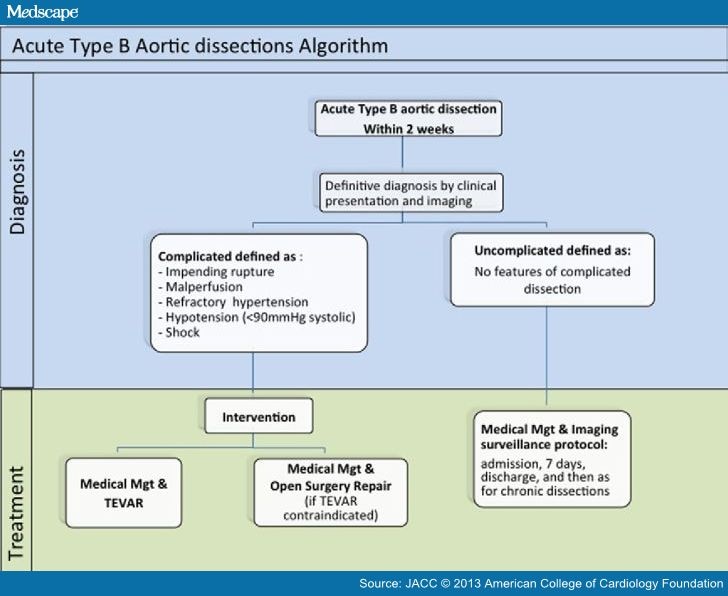 Expert Consensus On Management Of Type B Aortic Dissection