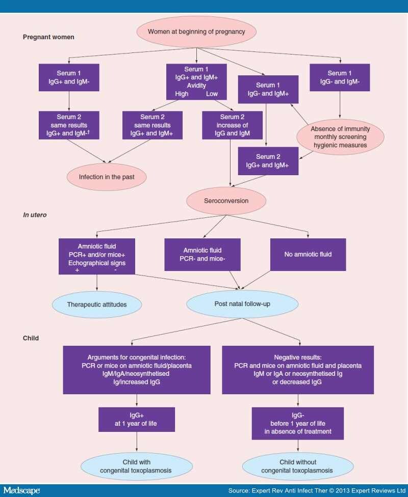 Human Toxoplasmosis Best Biological Diagnostic Tests