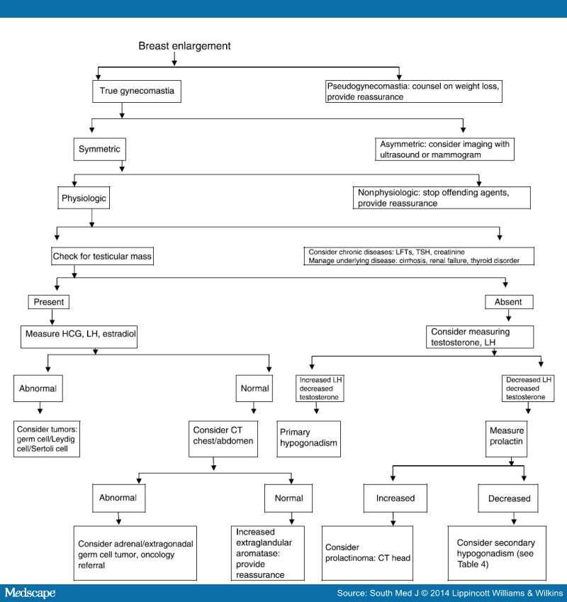 Gynecomastia: Etiologies, Diagnosis, And Management