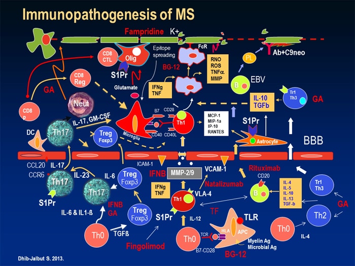 Neurology Exchange: Exploring the Latest Advances in Neurology Exchange: Exploring the Latest Advances in
