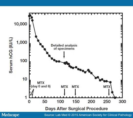 Methotrexate For Ectopic Pregnancy What To Expect