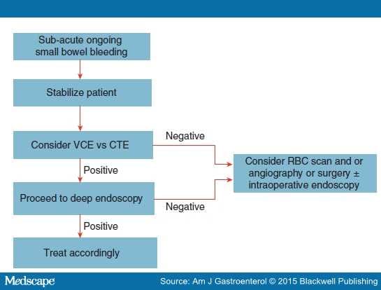 ACG Guideline: Small Bowel Bleeding Diagnosis & Management