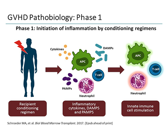 The JAK STAT Pathway And Graft Vs Host Disease Transcript