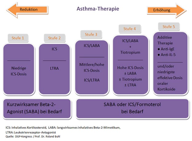 Warum Kein Acc Bei Asthma deutsch.medscape.com