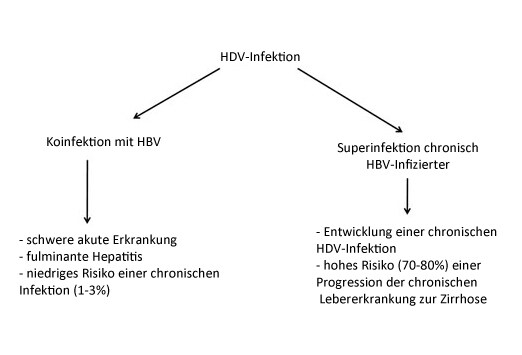 Slide 19.