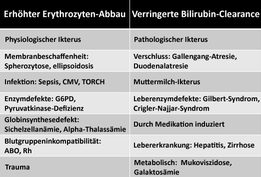 Die Würmer beim Erwachsenen