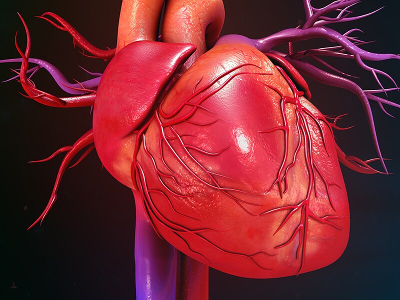 Aortenklappen-Stenose: TAVI und Chirurgie auf Augenhöhe heart of a cell diagram 