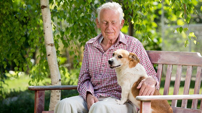 Hund fürs Herz KHKPatienten mit bellendem Hausgenossen leben länger