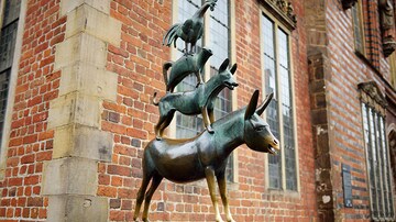 Deutscher Ärztetag in Bremen: Datensolidarität oder Datensouveränität?