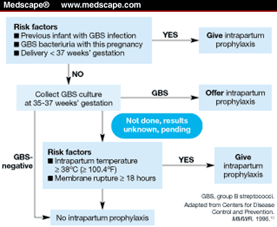 prophylaxis gbs antibiotic algorithm streptococcal neonatal mmwr streptococci adapted