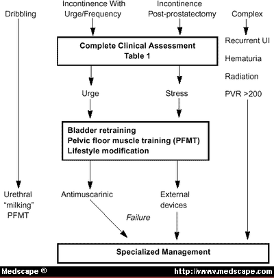 Basic Assessment Of Urinary Incontinence