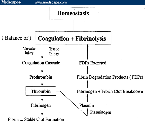 Disseminated Intravascular Coagulation In Cancer