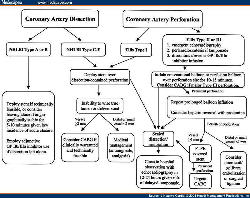 coronary-artery-dissection-and-perforation