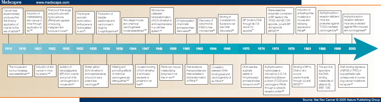 a look at the advancements in the twentieth century While the gdp and the rest of the national income accounts may seem to be arcane concepts, they are truly among the great inventions of the twentieth century. a look at the advancements in the twentieth century While the gdp and the rest of the national income accounts may seem to be arcane concepts, they are truly among the great inventions of the twentieth century.