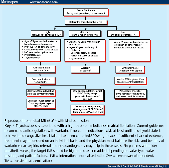 atrial fibrillation essay atrial fibrillation essay