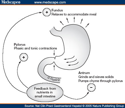 New Management Approaches For Gastroparesis