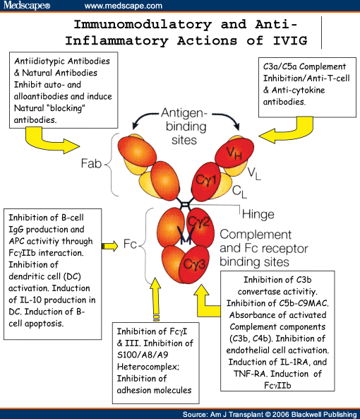 Intravenous Gammaglobulin (IVIG)