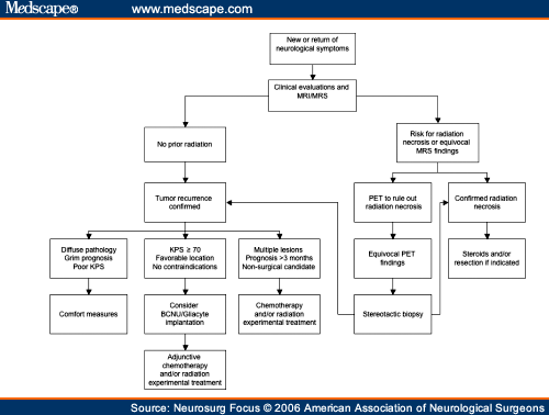 Glioblastoma Multiforme Grade 4 Diet