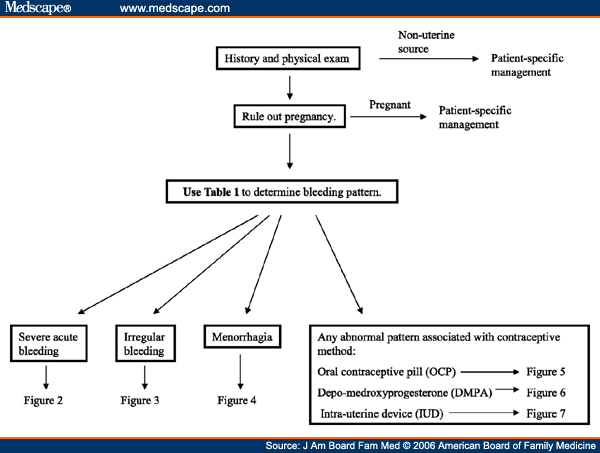 Abnormal Uterine Bleeding A Management Algorithm