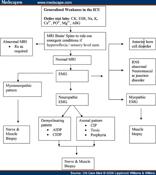 Acute Neuromuscular Weakness In The Intensive Care Unit