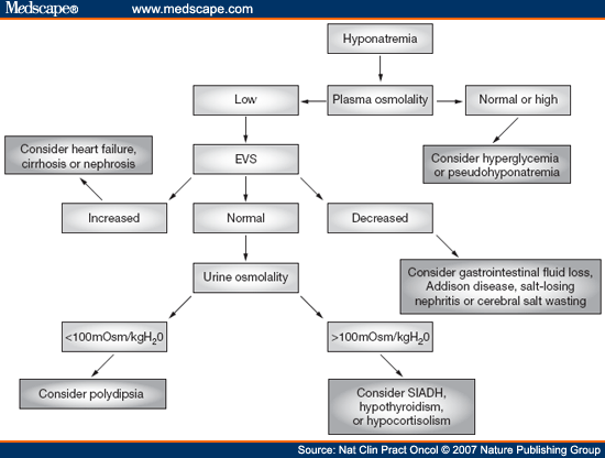 What is the concentration of solutes in your brain cells image