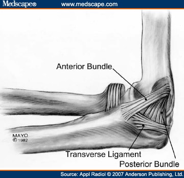 Imaging Of Elbow Pathology