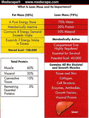 10% Protein Diet