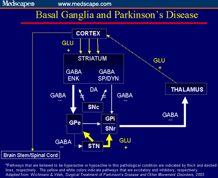 Deep Brain Stimulation For Parkinson S Disease An Update