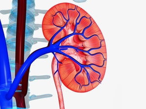 Renal Denervation: Where Are We?