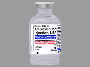 ampicillin 10 gram solution for injection