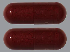 red yeast rice 600 mg capsule