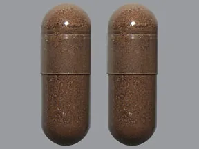 Cinnamon 500 mg capsule
