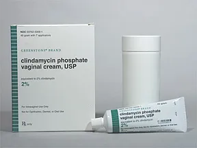 clindamycin 2 % vaginal cream