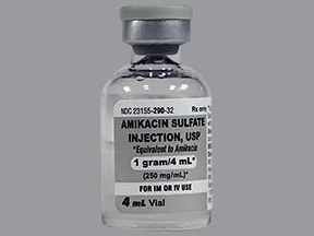amikacin 1,000 mg/4 mL injection solution